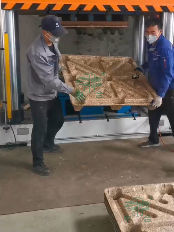 木屑托盤(pán).jpg 木屑托盤(pán).jpg